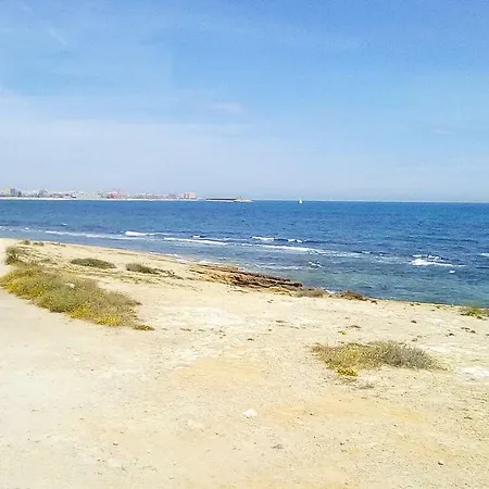 Terrasoy